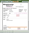 Eingabeformular Mängel Bauleiter